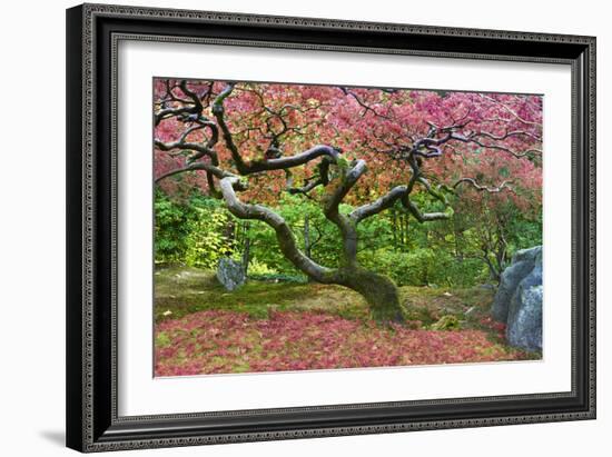 Pink Tree-Moises Levy-Framed Photographic Print