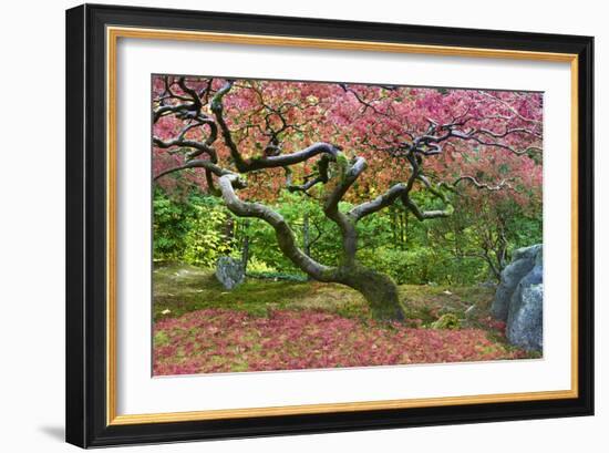 Pink Tree-Moises Levy-Framed Photographic Print