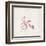 Pink Tricycle-Lauren Hamilton-Framed Art Print