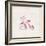 Pink Tricycle-Lauren Hamilton-Framed Art Print