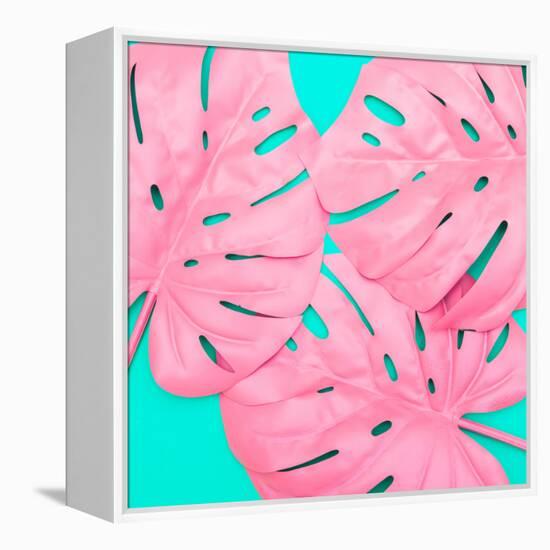 Pink Tropical Palm Leaves of Monstera in Vibrant Bold Color on Turquoise Background-Katya Havok-Framed Stretched Canvas