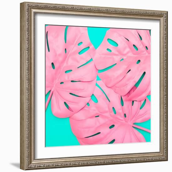 Pink Tropical Palm Leaves of Monstera in Vibrant Bold Color on Turquoise Background-Katya Havok-Framed Photographic Print