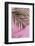 Pink Tropical-artjazz-Framed Photographic Print