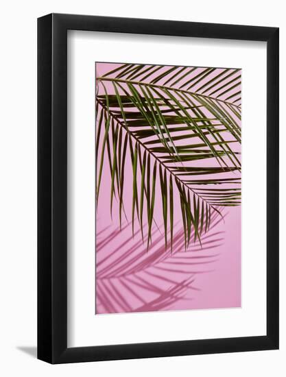 Pink Tropical-artjazz-Framed Photographic Print