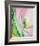 Pink Tulip, 1926-Georgia O'Keeffe-Framed Art Print