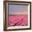 Pink Tulip Fields-Cora Niele-Framed Giclee Print