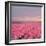 Pink Tulip Fields-Cora Niele-Framed Giclee Print