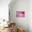 Pink Tulip I-Dana Styber-Photographic Print displayed on a wall