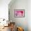 Pink Tulip I-Dana Styber-Framed Photographic Print displayed on a wall