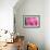 Pink Tulip II-Dana Styber-Framed Photographic Print displayed on a wall