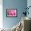 Pink Tulip II-Dana Styber-Framed Photographic Print displayed on a wall