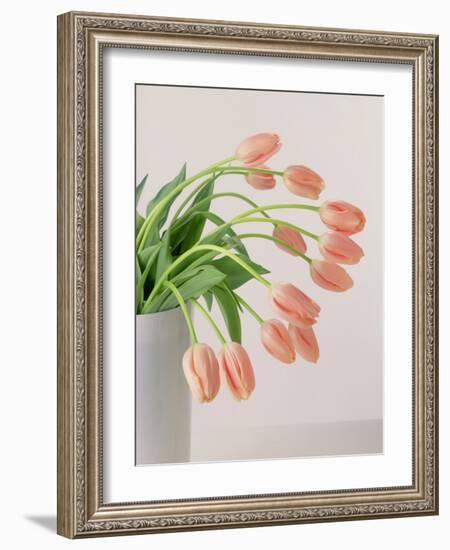 Pink Tulips, 1999-Norman Hollands-Framed Photographic Print