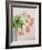 Pink Tulips, 1999-Norman Hollands-Framed Photographic Print