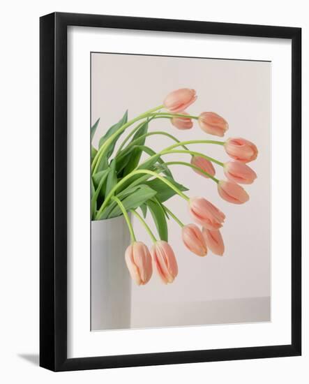 Pink Tulips, 1999-Norman Hollands-Framed Photographic Print