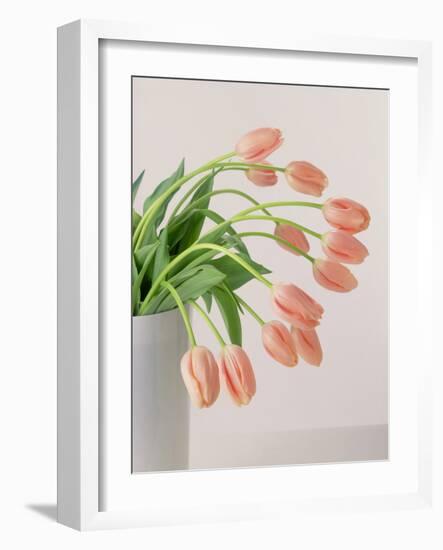 Pink Tulips, 1999-Norman Hollands-Framed Photographic Print