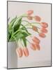 Pink Tulips, 1999-Norman Hollands-Mounted Photographic Print
