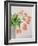 Pink Tulips, 1999-Norman Hollands-Framed Photographic Print