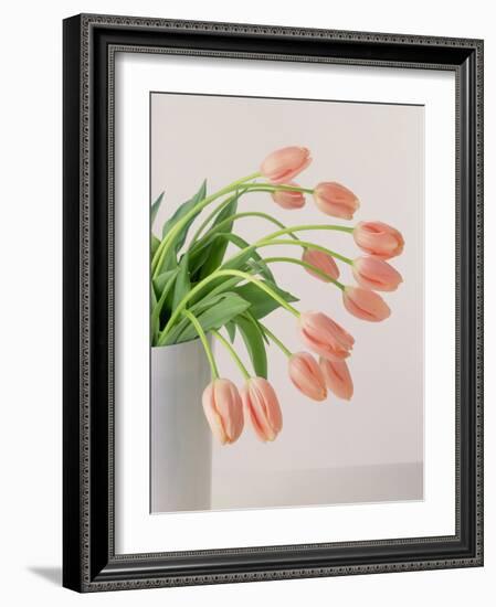 Pink Tulips, 1999-Norman Hollands-Framed Photographic Print