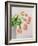 Pink Tulips, 1999-Norman Hollands-Framed Photographic Print