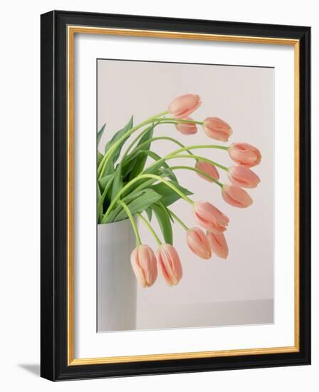 Pink Tulips, 1999-Norman Hollands-Framed Photographic Print