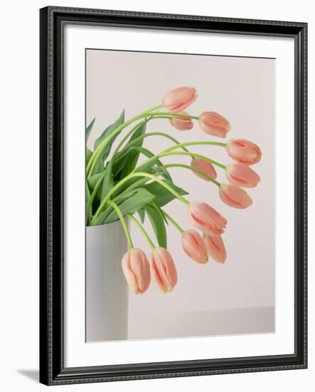 Pink Tulips, 1999-Norman Hollands-Framed Photographic Print