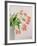 Pink Tulips, 1999-Norman Hollands-Framed Photographic Print