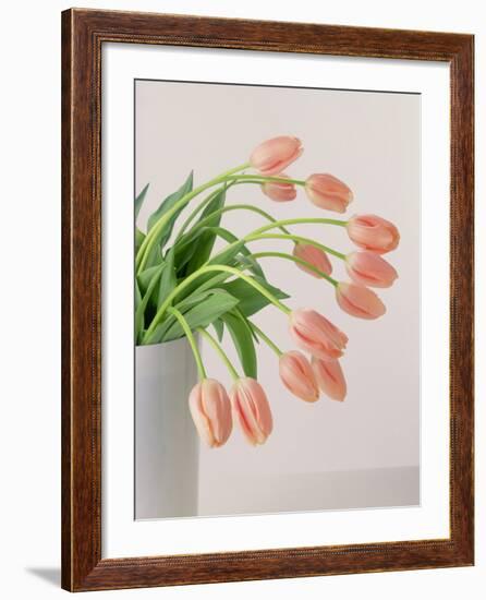 Pink Tulips, 1999-Norman Hollands-Framed Photographic Print