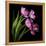 Pink Tulips 2-Magda Indigo-Framed Stretched Canvas