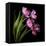 Pink Tulips 2-Magda Indigo-Framed Stretched Canvas