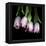 Pink Tulips 5-Magda Indigo-Framed Stretched Canvas