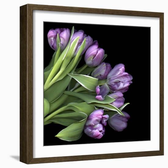 Pink Tulips 7-Magda Indigo-Framed Photographic Print