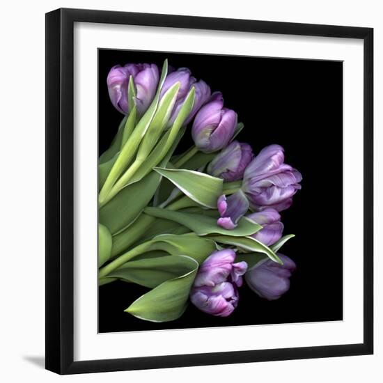 Pink Tulips 7-Magda Indigo-Framed Photographic Print