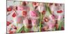 Pink Tulips and Red Petals on a White Background Horizontal-Denis Karpenkov-Mounted Photographic Print