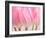 Pink Tulips Flowers-Julie Pigula-Framed Photographic Print