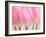 Pink Tulips Flowers-Julie Pigula-Framed Photographic Print