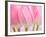 Pink Tulips Flowers-Julie Pigula-Framed Photographic Print