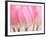 Pink Tulips Flowers-Julie Pigula-Framed Photographic Print