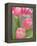 Pink Tulips-Jamie & Judy Wild-Framed Premier Image Canvas