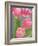 Pink Tulips-Jamie & Judy Wild-Framed Photographic Print