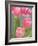 Pink Tulips-Jamie & Judy Wild-Framed Photographic Print