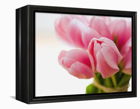 Pink tulips-Ada Summer-Framed Premier Image Canvas