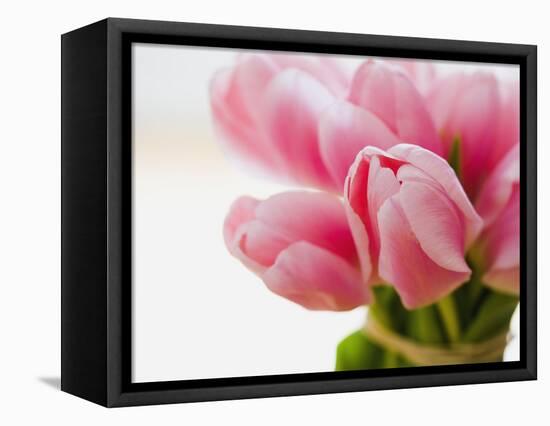 Pink tulips-Ada Summer-Framed Premier Image Canvas