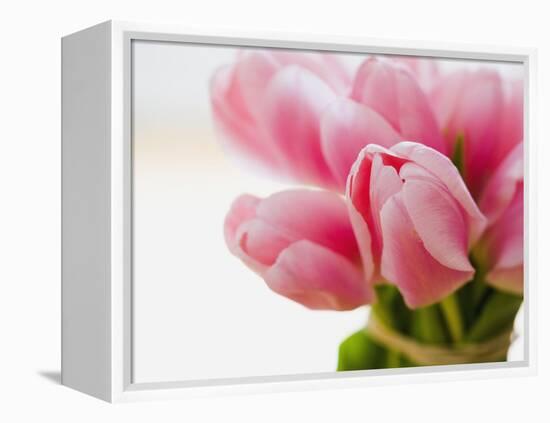 Pink tulips-Ada Summer-Framed Premier Image Canvas