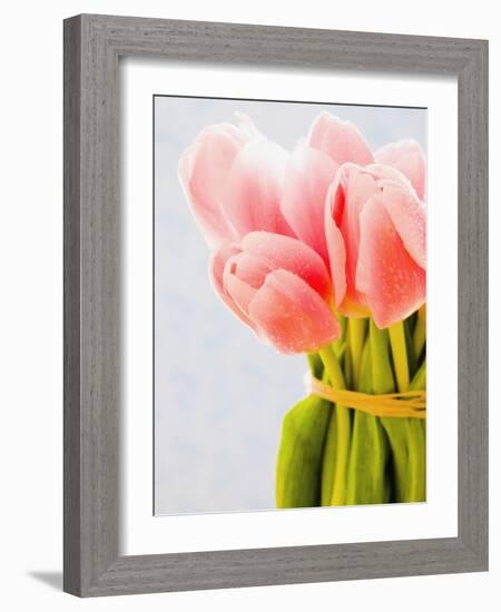 Pink tulips-Ada Summer-Framed Photographic Print