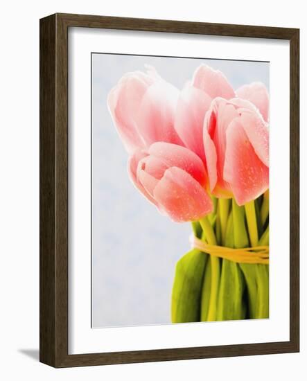 Pink tulips-Ada Summer-Framed Photographic Print