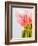 Pink tulips-Ada Summer-Framed Photographic Print