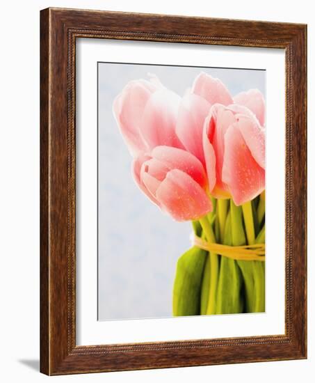 Pink tulips-Ada Summer-Framed Photographic Print