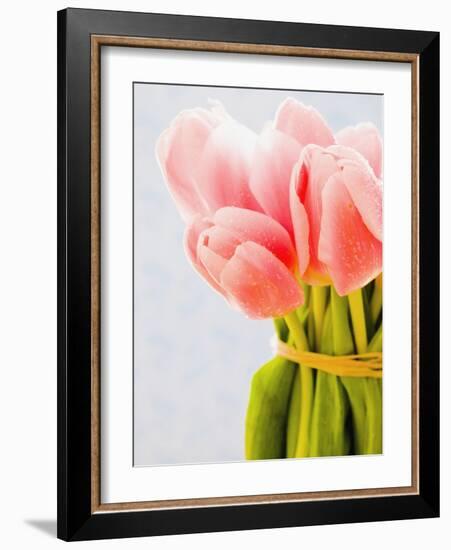 Pink tulips-Ada Summer-Framed Photographic Print