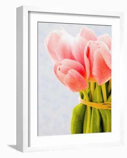 Pink tulips-Ada Summer-Framed Photographic Print