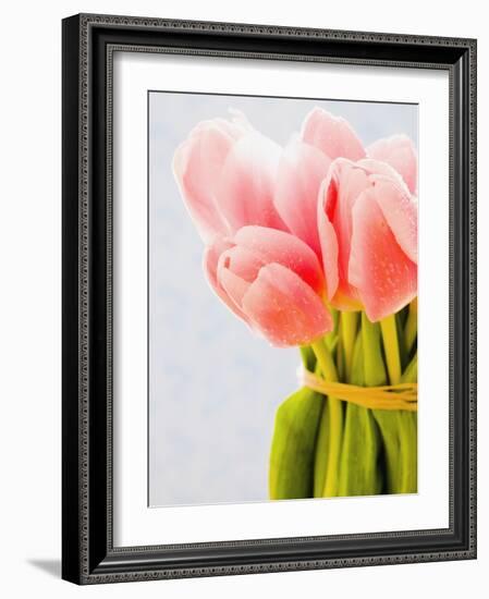 Pink tulips-Ada Summer-Framed Photographic Print